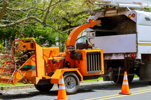 Seasonal Cleanup (Spring/Fall) in Huntingtown, MD